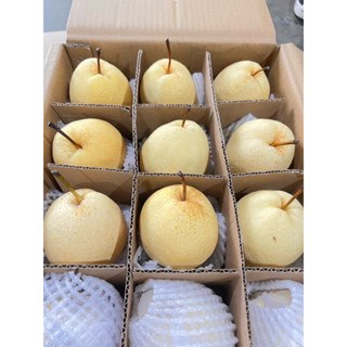 สาลี่น้ำผึ้ง  Sweet Pear ลูกใหญ่ 36 ลูก/ลัง สวย นำเข้าจากจีน