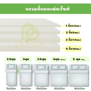 ลดวันเดียว!!! +++ ที่นอนยางพารา แท้ ท็อปเปอร์ รุ่น soft ยางฉีดขึ้นรูปทั้งแผ่น