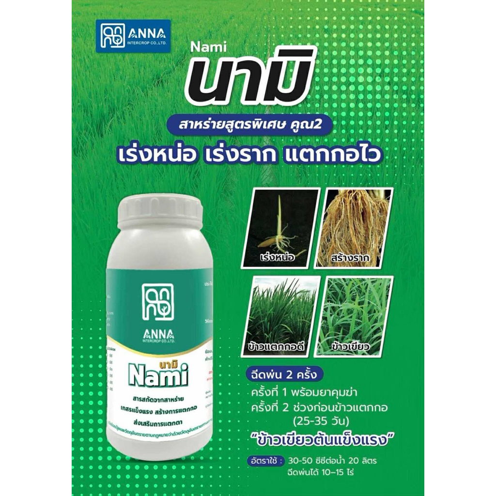 นามิ  สาหร่ายสูตรพิเศษ คูณ2 เร่งหน่อ เร่งราก แตกกอไว ใบเขียวดี