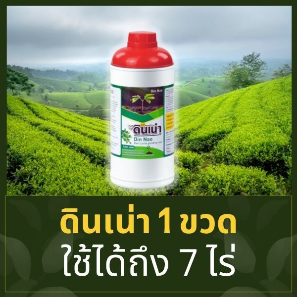 ดินเน่าคือเทคนิคเพิ่มผลผลิตที่ประหยัดเงิน กู้ดิน ปรับสภาพดิน เร่งรากใบดอก 1 ขวด