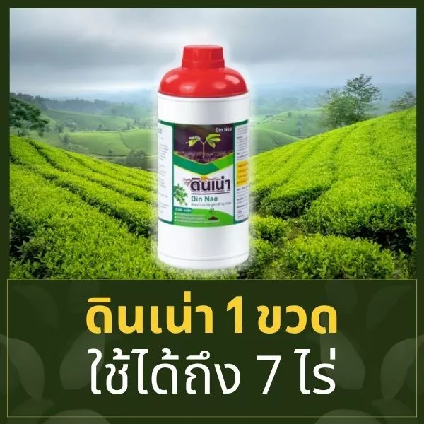 ดินเน่าคือเทคนิคเพิ่มผลผลิตที่ประหยัดเงิน กู้ดิน ปรับสภาพดิน เร่งรากใบดอก 1 ขวด