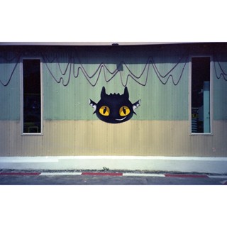 ฟิลม์หนัง ISO 25(Tungsten), 30 exp(รูป), KODAK V3 5213 200T(…