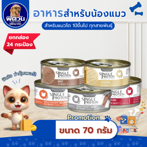 Felina Canio- แมว ไวด คอท ขนาด 70 กรัม ** 24 กระป๋อง **{อาหารเปียกแมว}