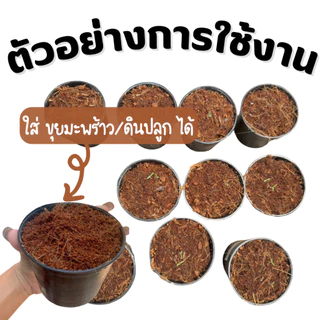 ถ้วยปลูก 5 นิ้ว กระถางปลูกสีดำขนาด 5 นิ้ว (**50ใบ**)