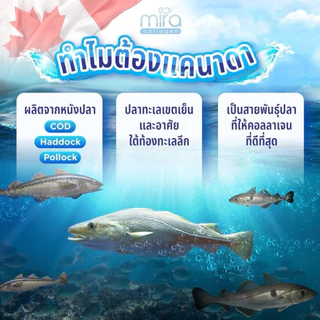 คอลลาเจนปลาทะเล แคนาดา ขนาด 1 กิโลกรัม ราคา 1000 บาท ทานได้ 3 เดือน