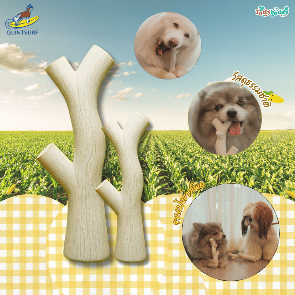 Quintsurf ของเล่นกัดแทะทรงกิ่งไม้ Corn Starch Chew วัสดุทำจากธรรมชาติ ปลอดภัยต่อสัตว์เลี้ยง