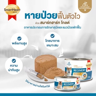 โปรดอ่านก่อนสั่ง (ยกลัง) Smartheart Gold Recovery 80/170g สุนัขและแมว อาหารเปียก สัตว์ป่วย พักฟื้น