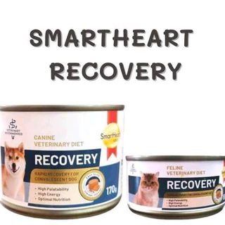 โปรดอ่านก่อนสั่ง (ยกลัง) Smartheart Gold Recovery 80/170g สุนัขและแมว อาหารเปียก สัตว์ป่วย พักฟื้น