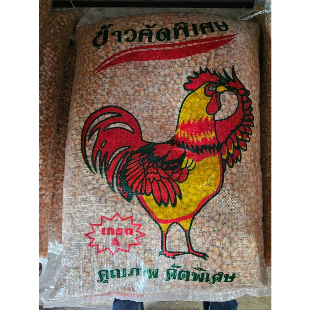 ข้าวโพดให้สัตว์เลี้ยงแบบเม็ดและแบบซีก ขนาด10กก.