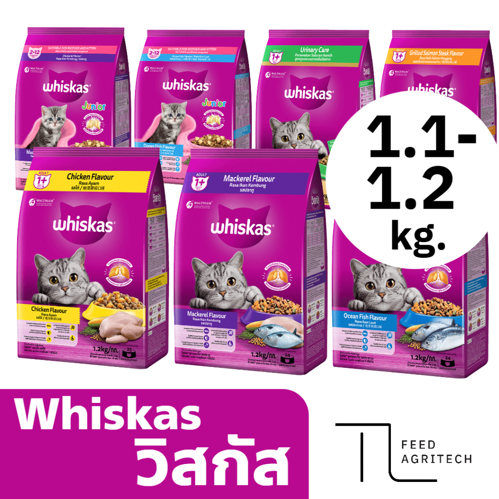 อาหารแมว วิสกัส ราคาถูก Whiskas ชนิดแห้ง แบบเม็ด น้ำหนัก 1.2 กก.