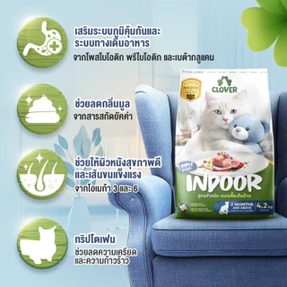 (3 แถม 1kg) Clover สูตร Indoor หุ่นดีแน่ ห้องไร้กลิ่น สำหรับแมวเลี้ยงในบ้าน อาหารแมว holistic grain-free ตัวแน่น ถนอมไต