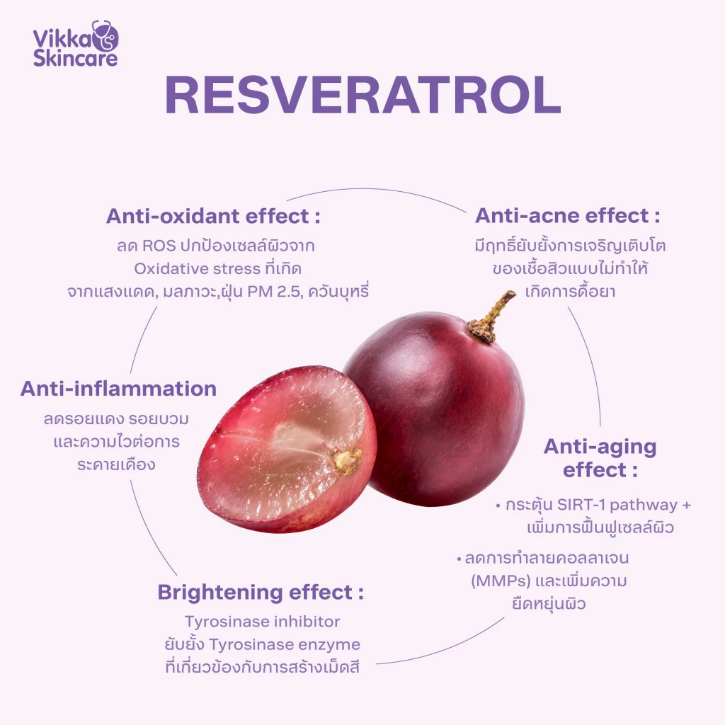 1 แถม 1 ในไลฟ์เท่านั้น! VIKKASKINCARE C'Resveratrol Plus Ceramide 30ml เซรั่มวิตามินซี องุ่นแดง ผิวกระจ่างใส ลดรอยดำ thumbnail 5