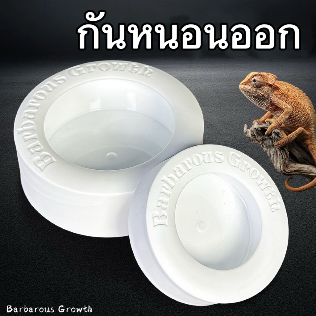 ถาดอาหารสำหรับกิ้งก่า คาเมเลียน เบี๊ยดดราก้อน เก็คโค กันหนอนออก 6 ขนาด​ ถาดเซรามิกส์ สำหรับใส่หนอนนก