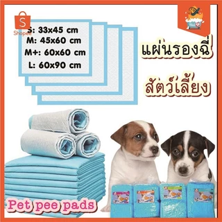 Thai.th แผ่นรองฉี่ Boqi สุนัข และแมว Cocoyo แบบหนาสำหรับแมวและสุนัข