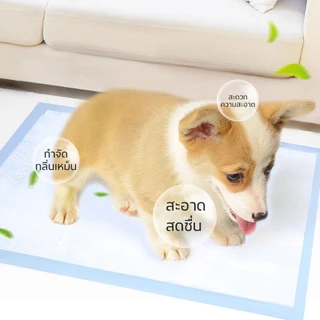 แผ่นรองฉี่สุนัข แผ่นรองฉี่กระต่าย แผนรองฉี่สุนัข ห้องน้ำหมา แผ่นรองฉี่สัตว์เลี้ยง ช่วยฝึกขับถ่าย ระงับกลิ่น ซึมซับไดีดี