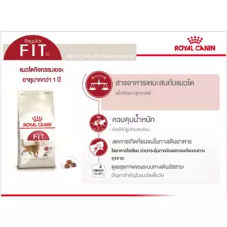 Royal Canin Fit 400 กรัม อาหารแมวแบบเม็ด สำหรับแมวโตอายุ 1 ปีขึ้นไป หมดอายุปี 2027