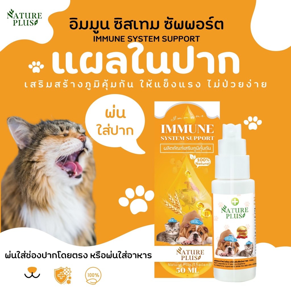 สเปรย์เสริมภูมิคุ้มกัน ขวดส้ม สินค้าขายดี✨ ป้องกันแผลในปาก เหงือกบวม ภูมิคุ้มกันต่ำ