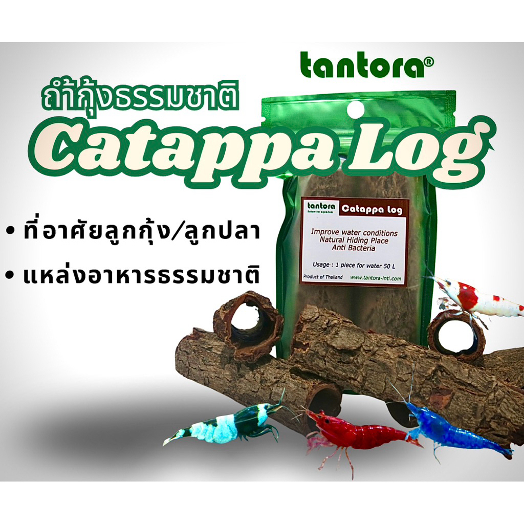 Tantora Catappa Log ถ้ำกุ้งธรรมชาติ ช่วยลด pH เพิ่มอัตรารอด & กระตุ้นจุลชีพ ที่หลบซ่อนลูกกุ้งแคระ/ลูกปลา ประดับตู้ไม้น้ำ