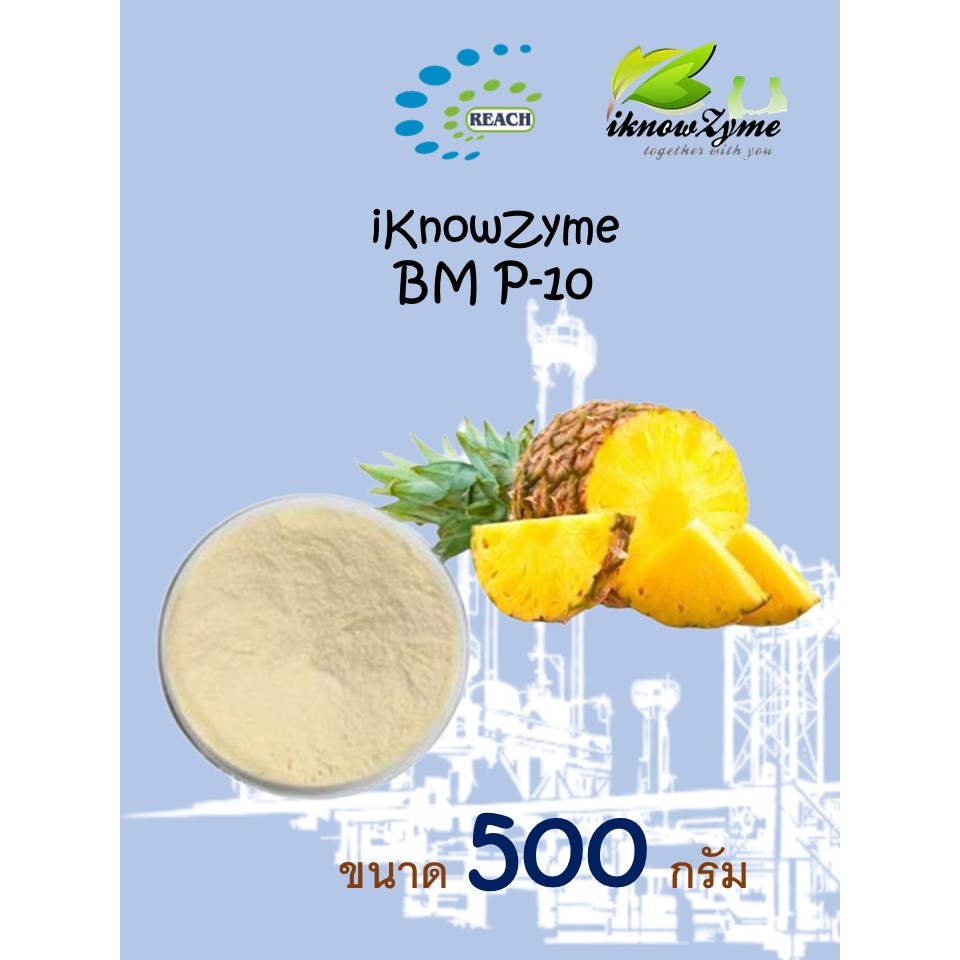 iKnowZyme BM P-10 เอนไซม์โบรมิเลน ขนาด 500 กรัม