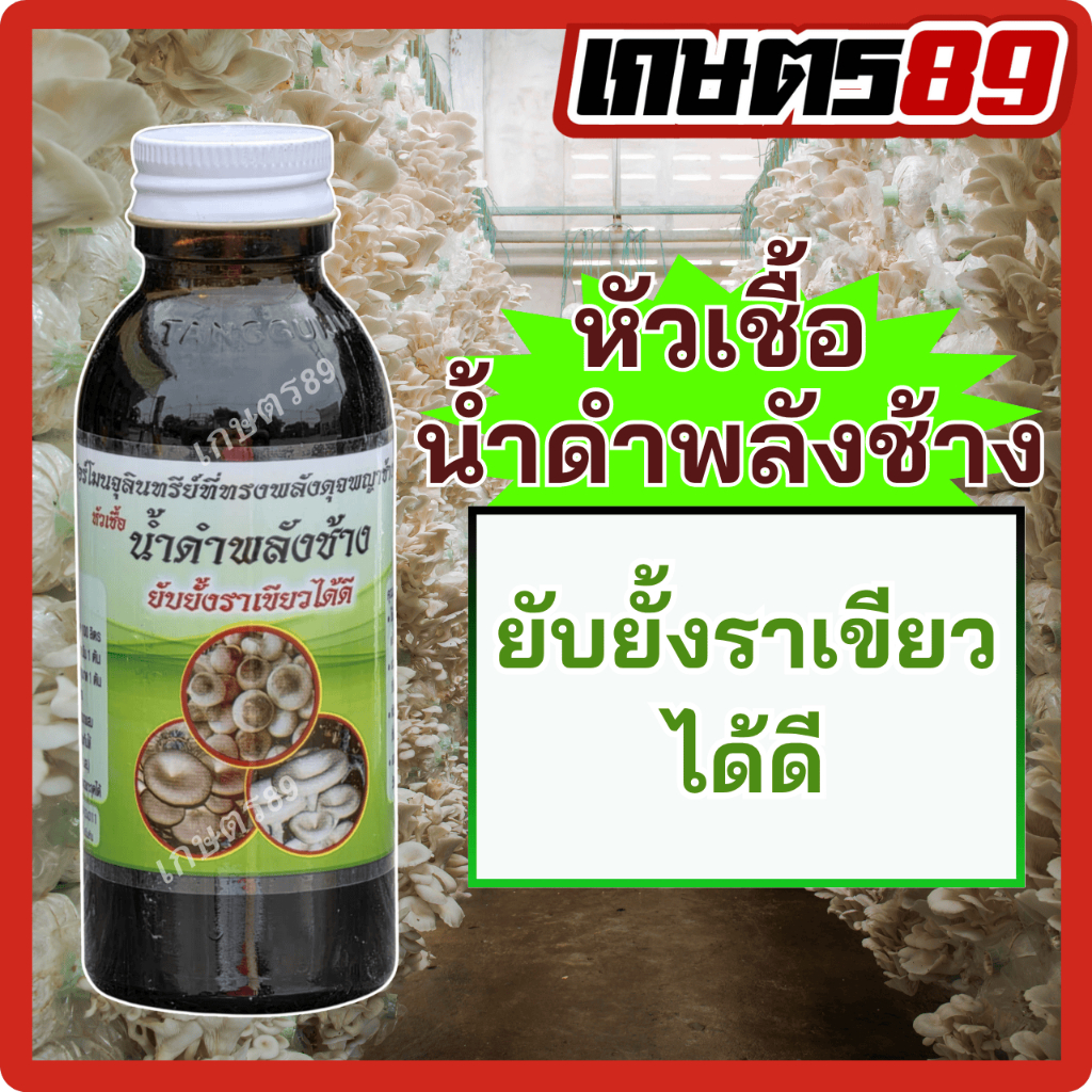 หัวเชื้อน้ำดำพลังช้าง ฮอร์โมนจุลินทรีย์ยับยั้งราเขียว ใช้ได้กับเห็ดทุกชนิด เห็ดหูหนู เห็ดนางฟ้า เห็ดฟาง 100 มล.