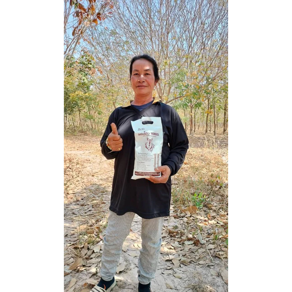 มองโกล ผลิตภัณฑ์กำจัดเชื้อราในยางพารา บำรุงต้นยางพารา
