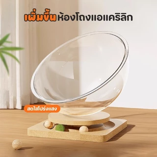 🐱2in1 รังแมวแคปซูลอวกาศ ของเล่นแมว ม้าหมุนครอกแมว บ้านแมว หลุมอวกาศ ที่นอนอวกาศ จานเสียงไม้เนื้อแข็งอะคริลิค
