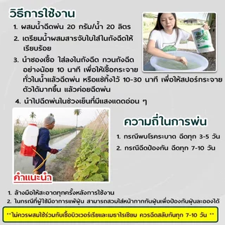 ไตรโคเดอร์มา ซุปเปอร์ไตรโค ไตรโคเดอร์มาผง (500 กรัม) ชีวภัณฑ์ ป้องกันและกำจัดเชื้อราโรคพืช รากเน่า โคนเน่า ปลอดภัย100%