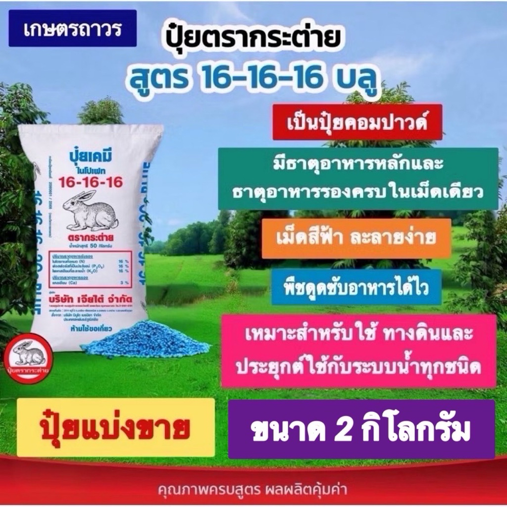 ปุ๋ยตรากระต่าย สูตร 16-16-16 เม็ดสีฟ้า แบ่งขาย 2 กิโลกรัม เร่งการเจริญเติบโตทุกส่วนของต้นไม้