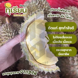 📌ทุเรียนหมอนทอง จันทบุรี ตัดแก่จากสวน เนื้อแน่นทุกพู พร้อมวิดีโอชั่งน้ำหนักจริงทุกลูก! ศรีทอง bearbakery
