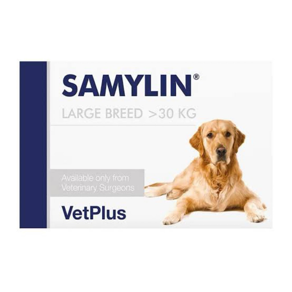 Pre order พร้อมส่ง 10 Oct Samylin Large Breed Tablets x 30