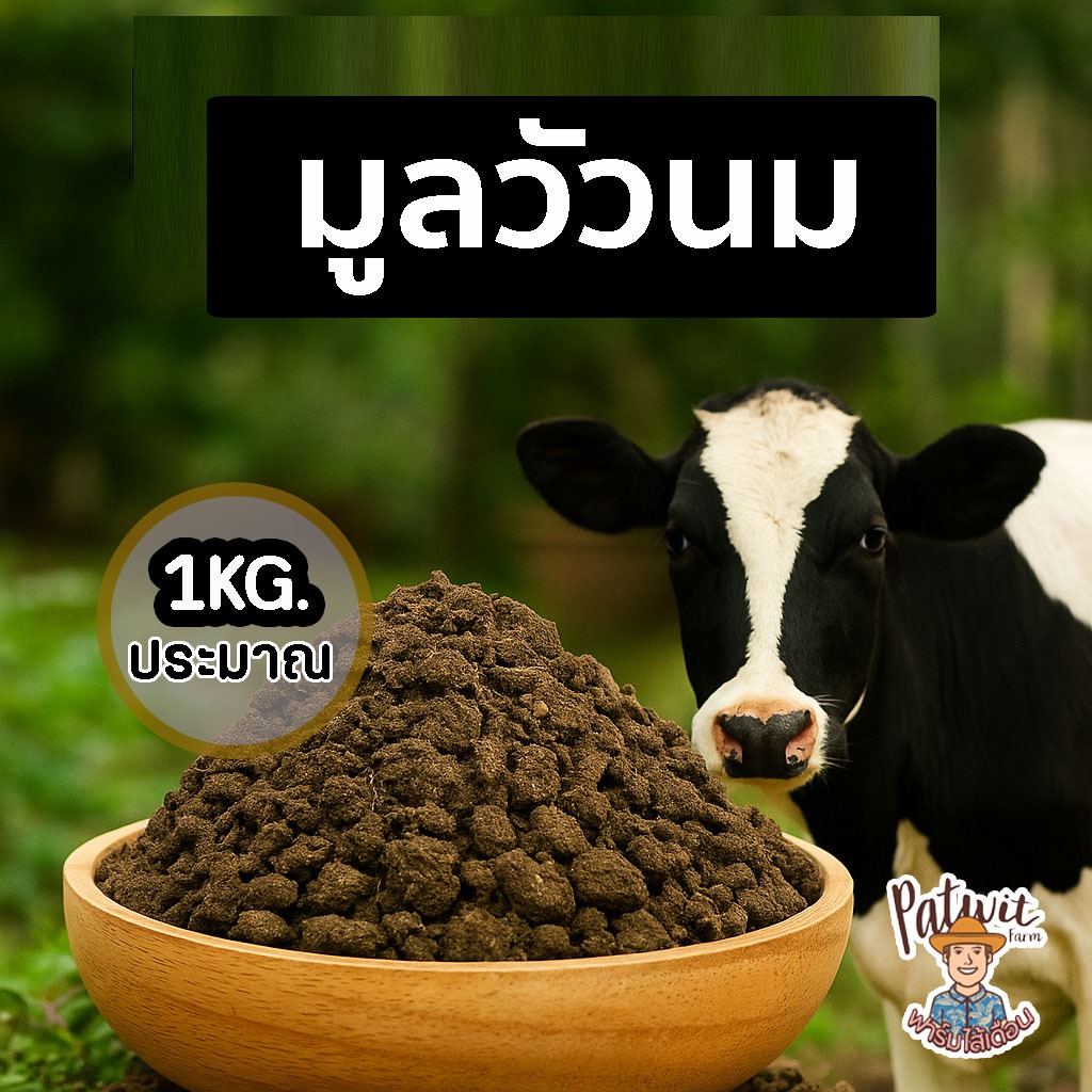 (2ถุง50)(ส่งฟรีทักแชท)มูลวัวนม หนองโพ  สารอาหารครบถ้วน ให้สารอาหารคงที่ ขนาดประมาณ 1กิโลกรัม