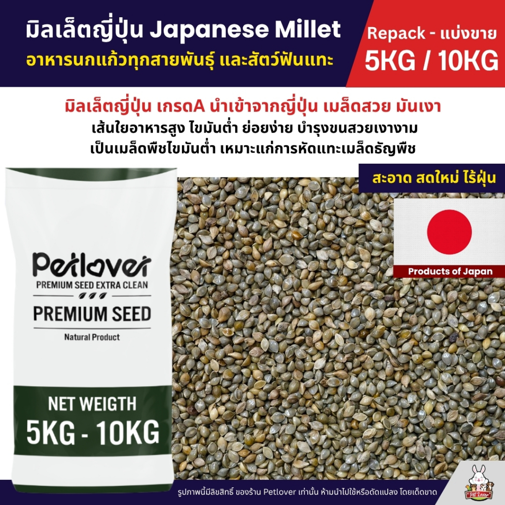 (5KG/10KG) มิลเล็ตญี่ปุ่น Japanese Millet เกรดA อาหารนกแก้ว และสัตว์ฟันแทะ สะอาด ร่อนฝุ่นทุกถุง