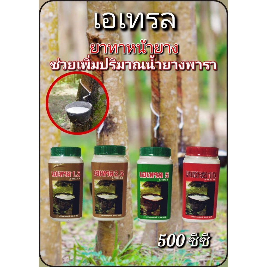 เอเทรล ยาทาหน้ายางพารา เพิ่มปริมาณน้ำยางพารา กระตุ้นการไหลของน้ำยาง เอเทรล 1.5% เอเทรล 2.5% เอเทรล 5% เอเทรล 10%