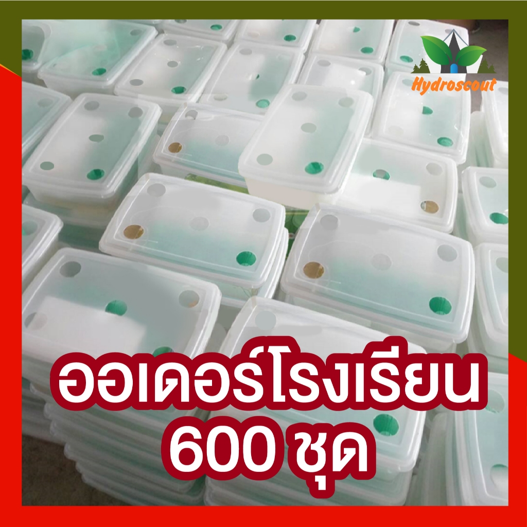 ชุดปลูกผักไฮโดรโปนิกส์ พร้อมปลูก กระบะใส 5 ช่องปลูก by hydroscout - รูปที่ 5