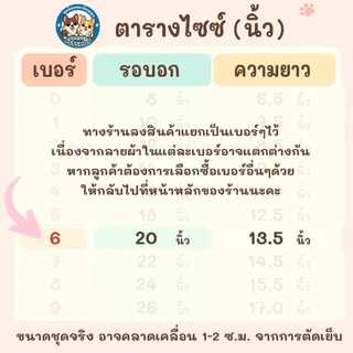 เบอร์ 6 ชุดนอน4ขา เสื้อน้องหมาน้องแมว รอบ-อก 20 นิ้ว