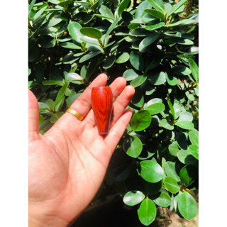 แก่นไม้diyจากไม้พยุงงานทำมือ