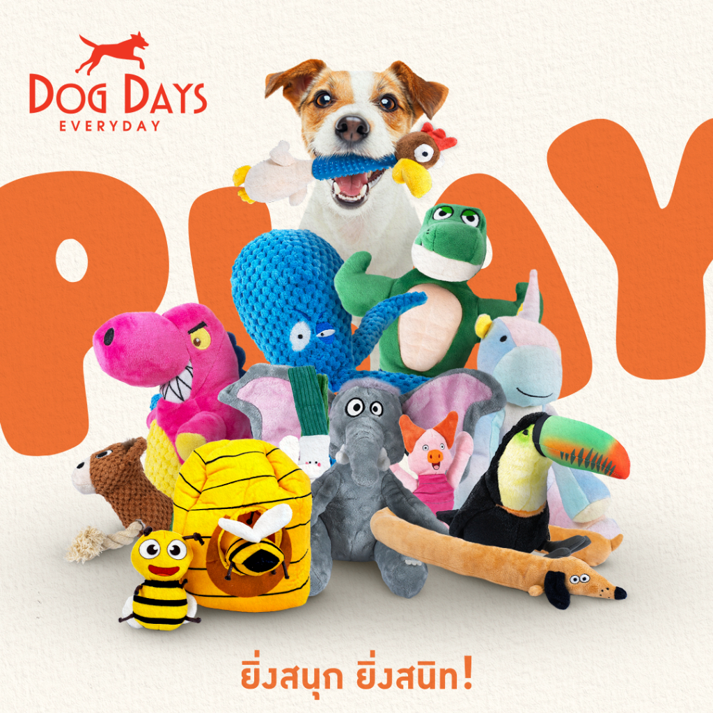 Dog Days Play (Lite Pack) ของเล่นสุนัขสำหรับเคี้ยวหรือกัด