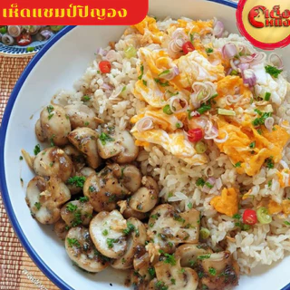 เห็ดแชมปิญองในน้ำเกลือ ตรากระต่าย CHAMPIGNONS MUSHROOM IN BRINE น้ำหนักสุทธิ 400 กรัม