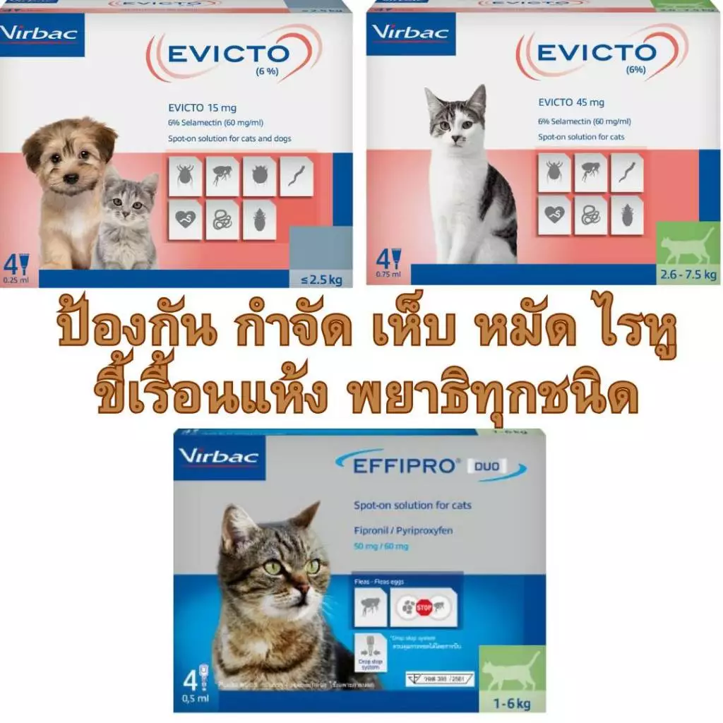 Virbac Effipro Duo & Evicto Spot On ผลิตภัณฑ์กำจัด เห็บ หมัด ไรหู ชนิดหยอดหลัง สำหรับแมว