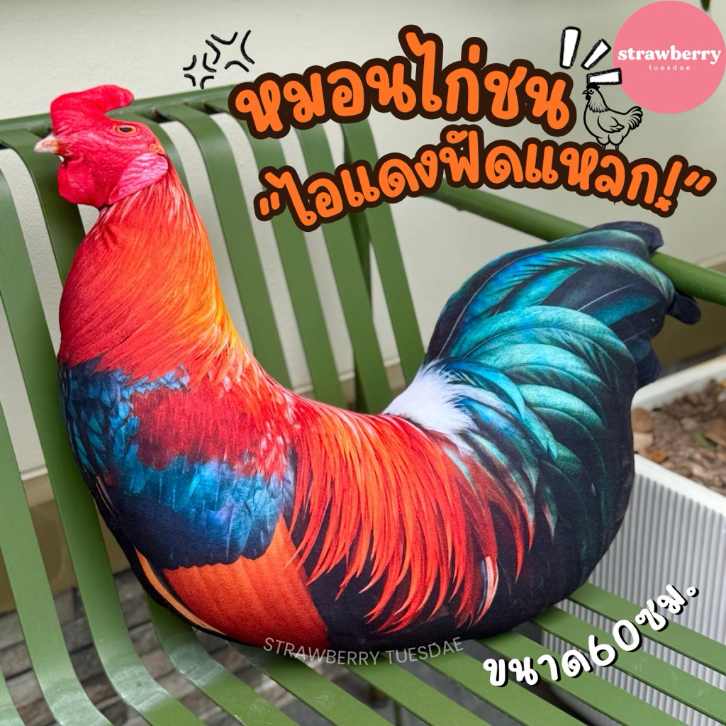 หมอนไก่ชน หมอนไก่นวม ตุ๊กตาไก่นวม หมอนพิมพ์ลายรูปไก่ชน ขนาด60cm พร้อมส่งจากไทย