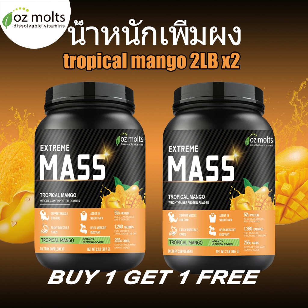 Ozmolts Mass Gainer Powder แคลอรี่สูง โภชนาการ อาหารทดแทน Weight Gainer เวย์โปรตีน ช่วยออกกําลัง Man