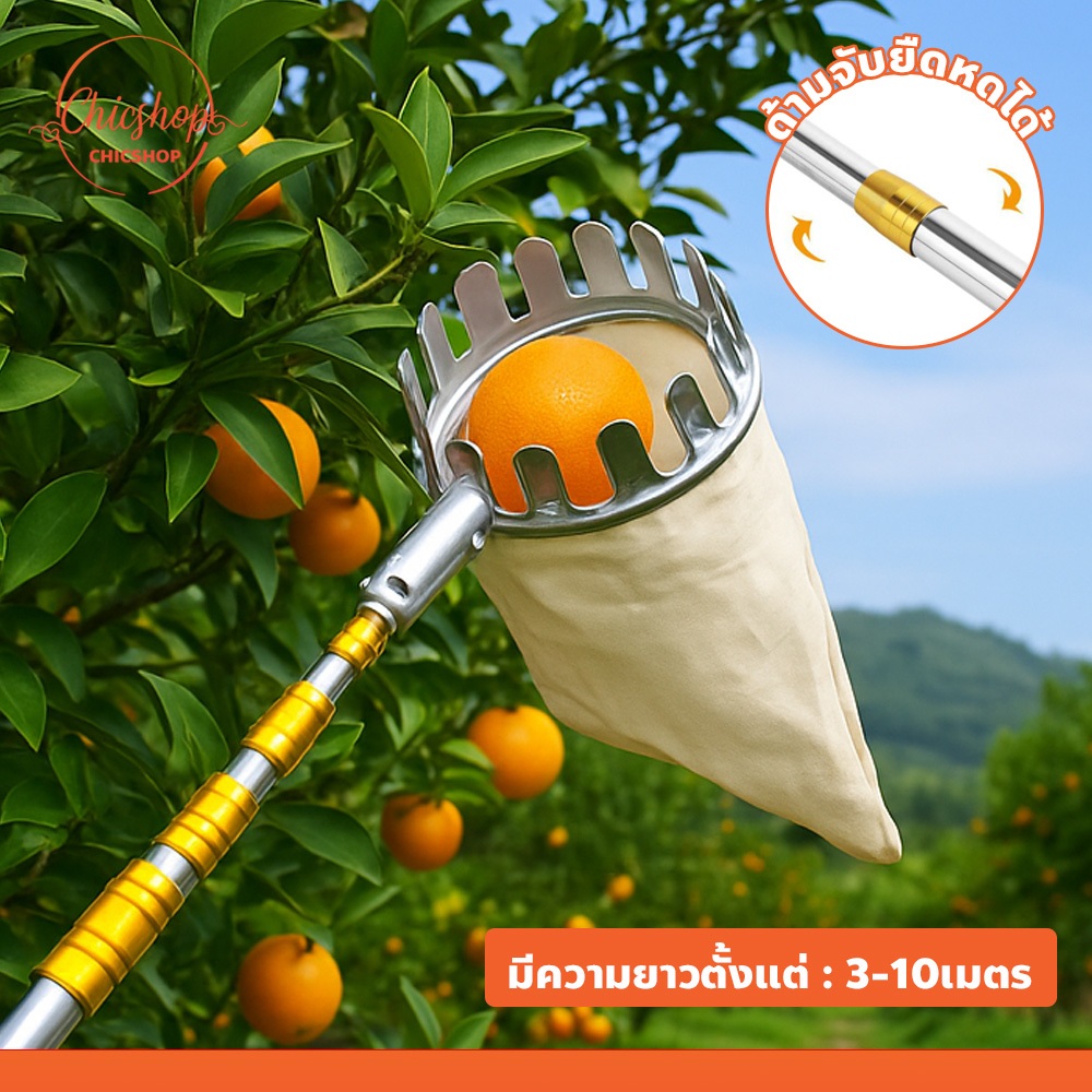เครื่องมือหยิบผลไม้ ด้ามต่อยืดหดได้  ไม้สอยผลไม้สูง มีความยาวหลายขนาด