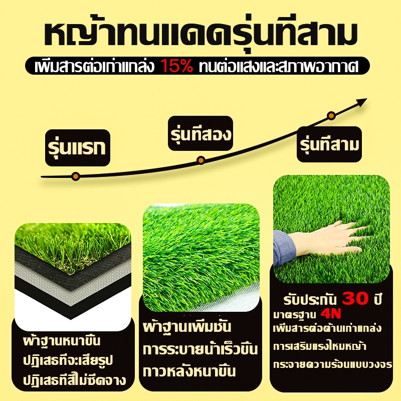 รูปภาพ 4