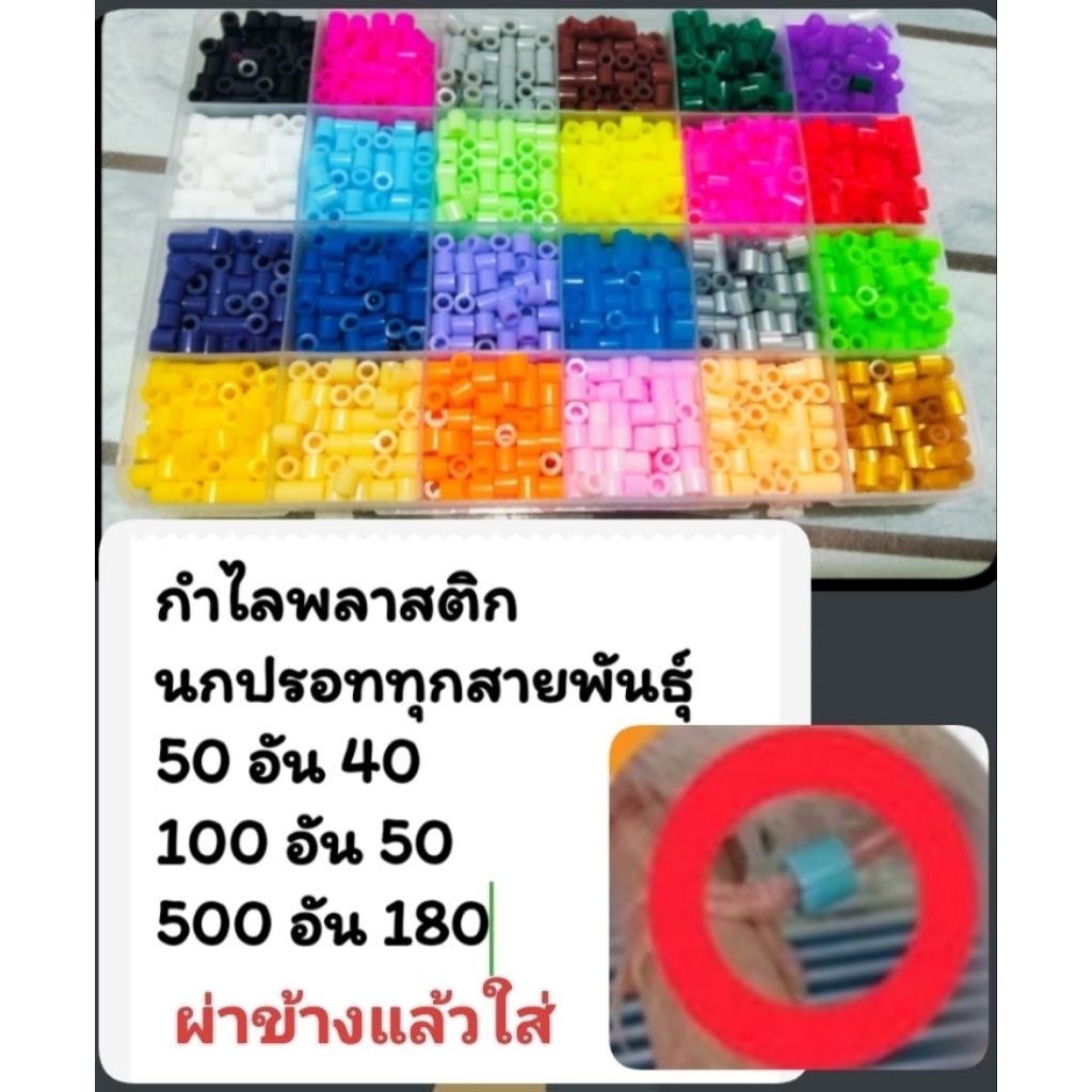 กำไลขานกพลาสติก นกปรอททุกสายพันธุ์