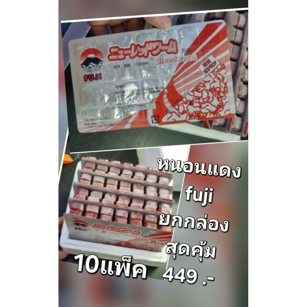 หนอนแดง ยกกล่อง 10แพ็ค 449 บาท ยี่ห้อ Fuji