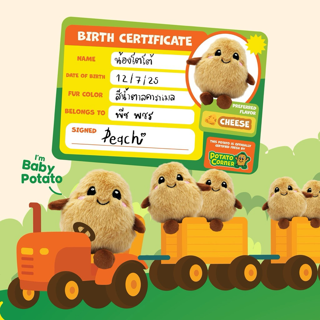 (พร้อมส่ง) ของแท้ 100% Potato Corner ตุ๊กตา สินค้าพรีเมียม ลิขสิทธิ์แท้จากโปเตโต้ คอร์เนอร์