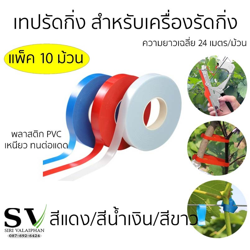 เทปรัดกิ่ง แพ็ค 10 ม้วน สำหรับเครื่องรัดกิ่ง กรรไกรผูกกิ่ง เครื่องผูกรัดกิ่งไม้ได้ทุกรุ่น (ในม้วนยาวเฉลี่ย 24 เมตร)