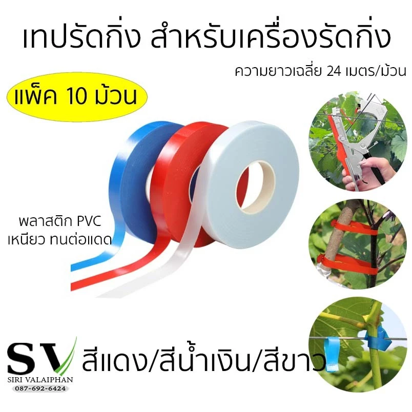 เทปรัดกิ่ง แพ็ค 10 ม้วน สำหรับเครื่องรัดกิ่ง กรรไกรผูกกิ่ง เครื่องผูกรัดกิ่งไม้ได้ทุกรุ่น (ในม้วนยาวเฉลี่ย 24 เมตร)