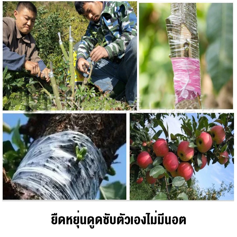เทปพันกิ่งไม้ UF 3/5cm x 200m อุปกรณ์ตอนกิ่ง ทำสวน thumbnail 9