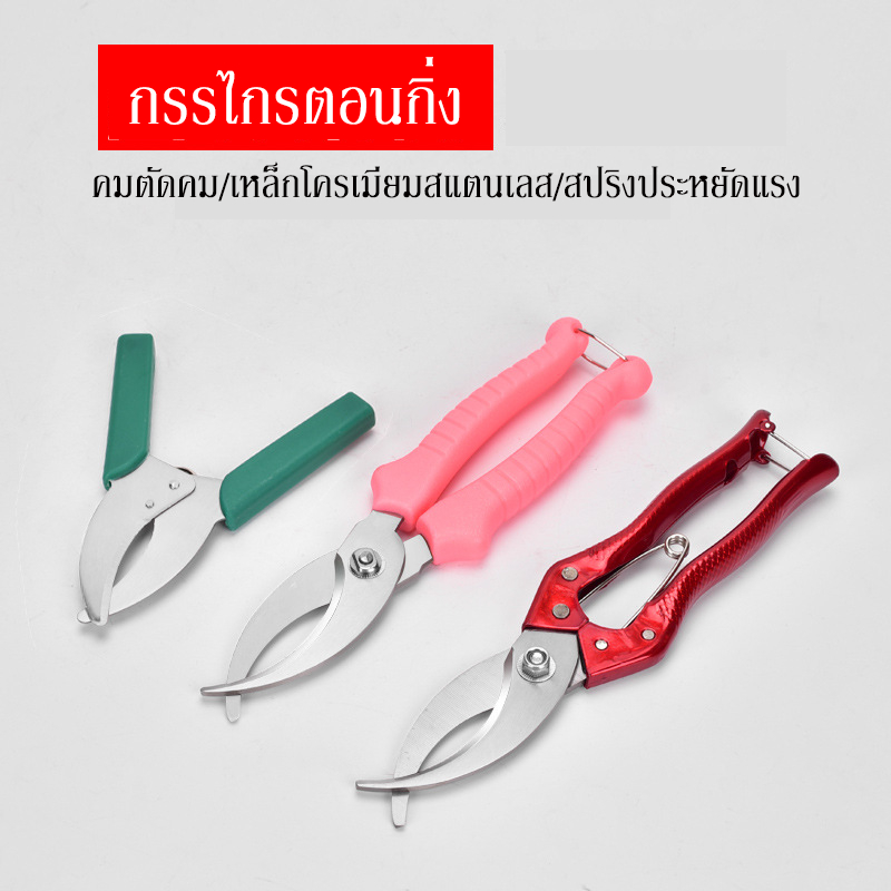 กรรไกรตอนกิ่งไม้ รวดเร็วกว่า 5 เท่า
